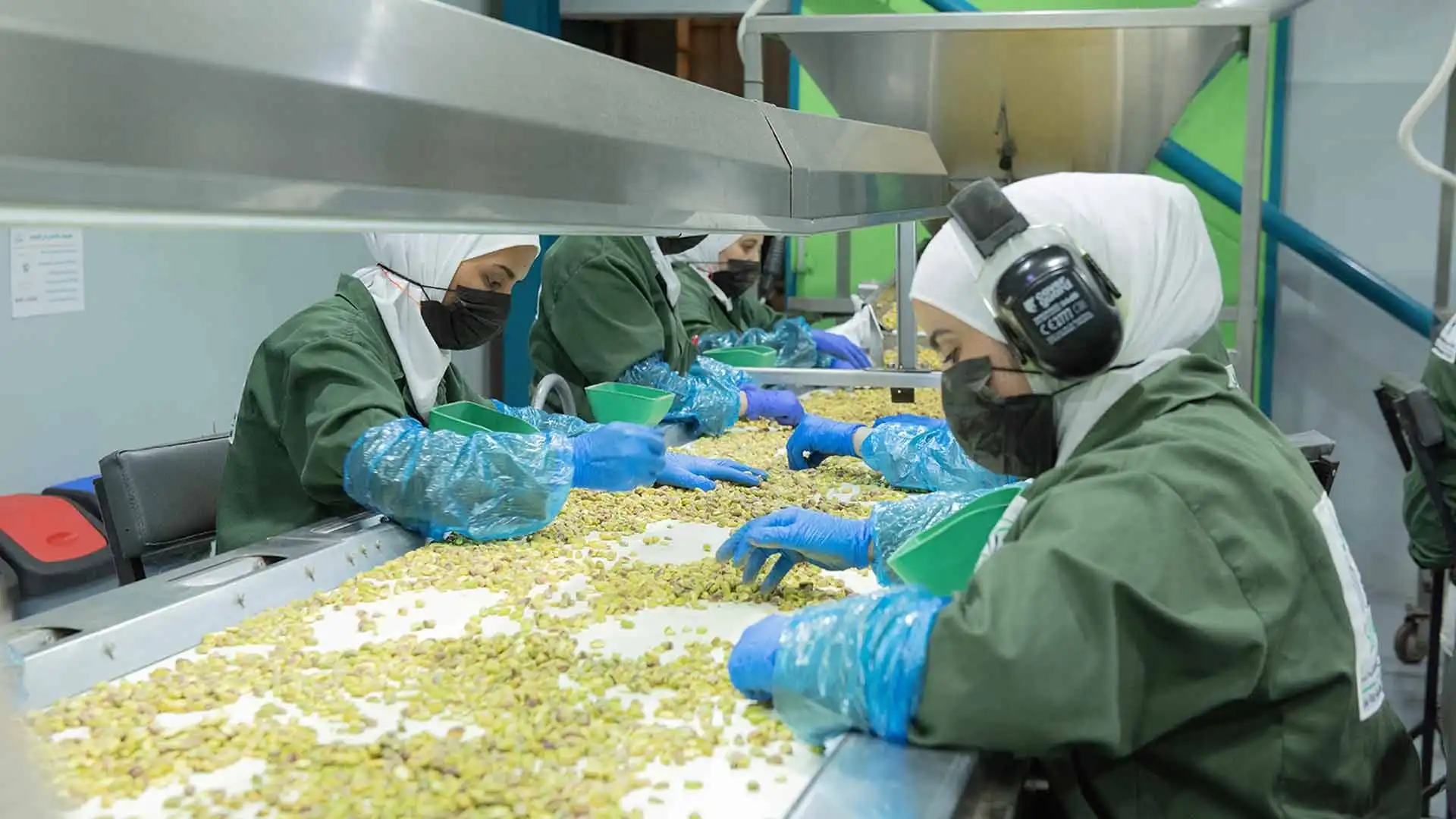 SeaStar factory — Aqaba, Jordan